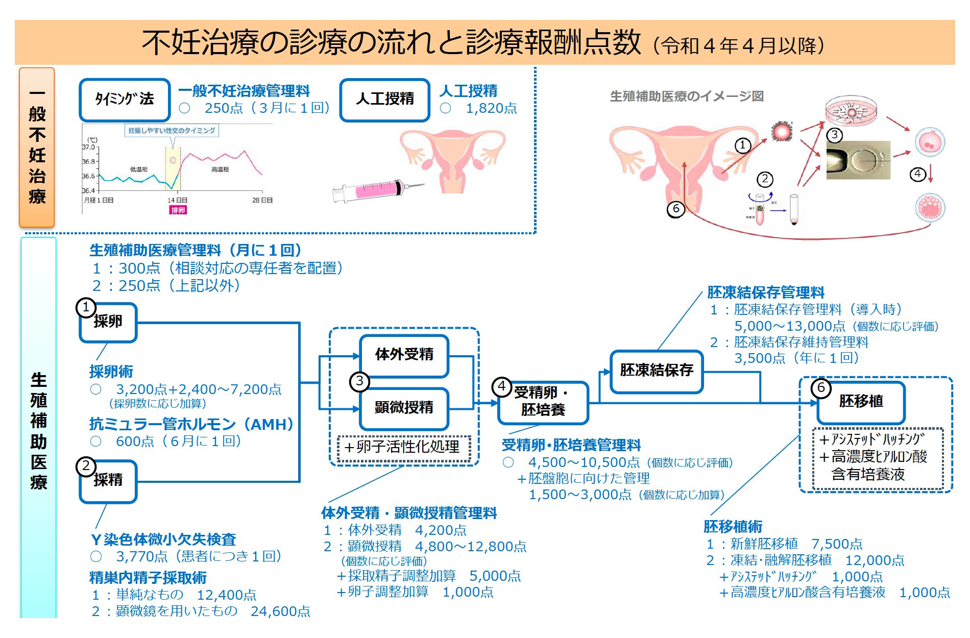 女性不妊症の治療